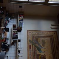 DSC_1221.JPG